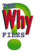 The Why Files